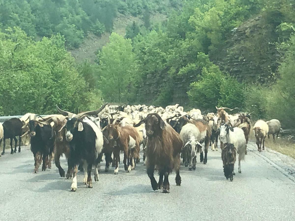 Mousafir Ontas Kepésovon Dış mekan fotoğraf